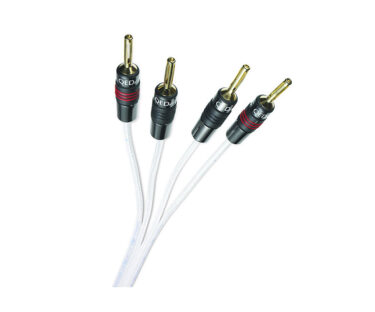 Silver Anniversary XT by QED