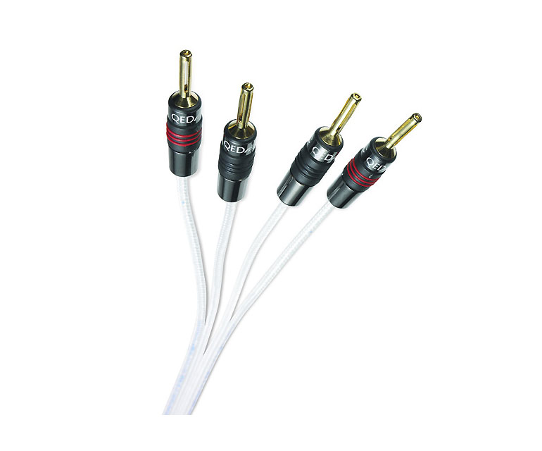 Silver Anniversary XT by QED