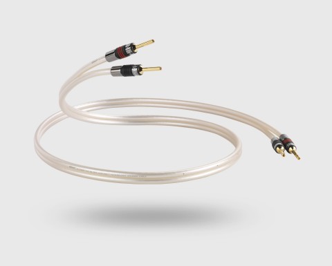XT 40 Cable by QED