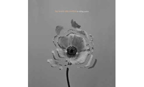 The Naked And Famous in rolling waves (2 LPs)