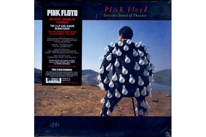 Pink Floyd - Delicate Sound Of Thunder (2 Lp)