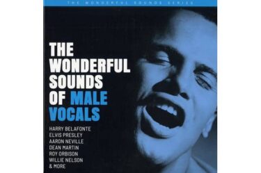 Various Artists - The Wonderful Sounds Of Male Vocals (2 LP)