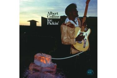 Albert Collins - Ice Pickin'