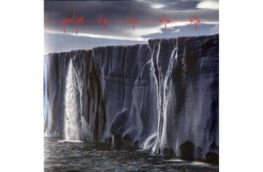 Pearl Jam - Gigaton (2 LPs with D Side Etching + Booklet)