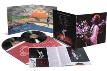 Bob Dylan - Another Budokan 1978