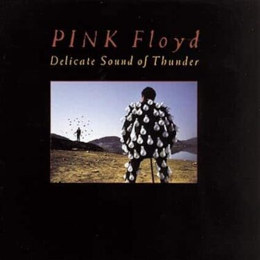 PINK FLOYD - DELICATE SOUND OF THUNDER (CD)