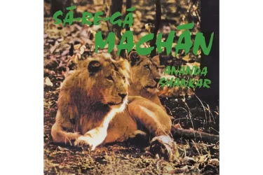 Ananda Shankar - Sa-Re-Ga Machan